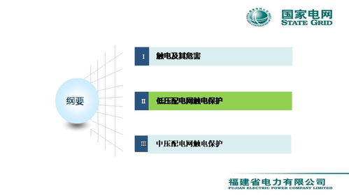 配電網(wǎng)觸電保護(hù)技術(shù)與服務(wù)——會議報告